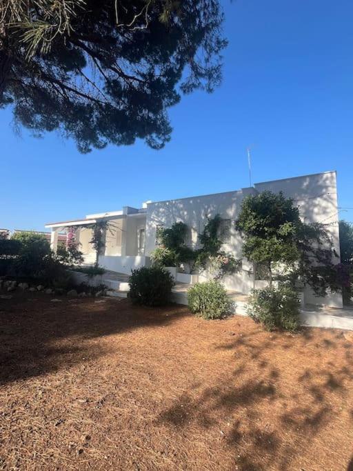 Villa Bouganville 2 오스투니 외부 사진