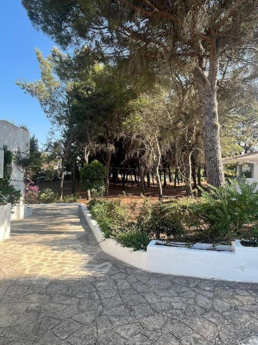 Villa Bouganville 2 오스투니 외부 사진
